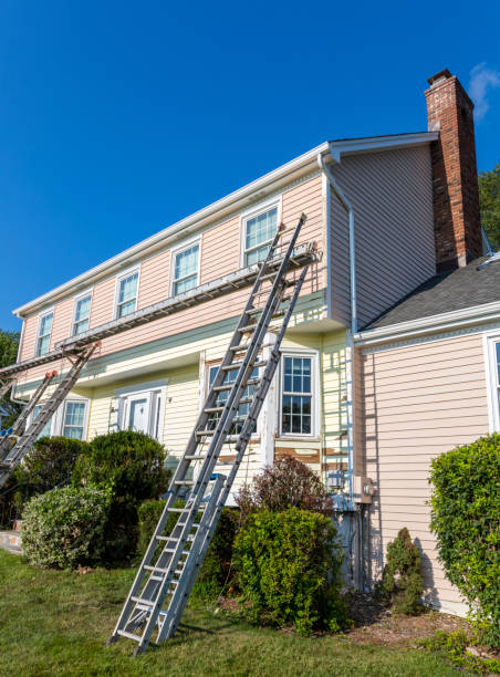 Best Siding Painting and Refinishing  in Rockford, MI
