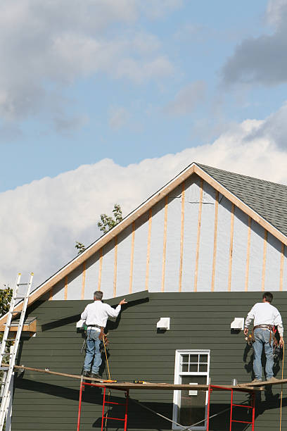 Best Fascia and Soffit Installation  in Rockford, MI