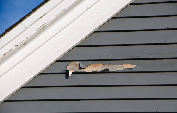 Best Siding Removal and Disposal  in Rockford, MI