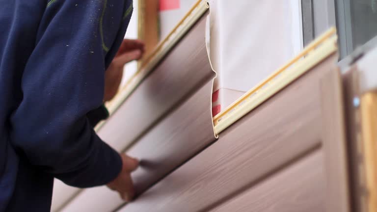 Best Custom Trim and Detailing for Siding  in Rockford, MI